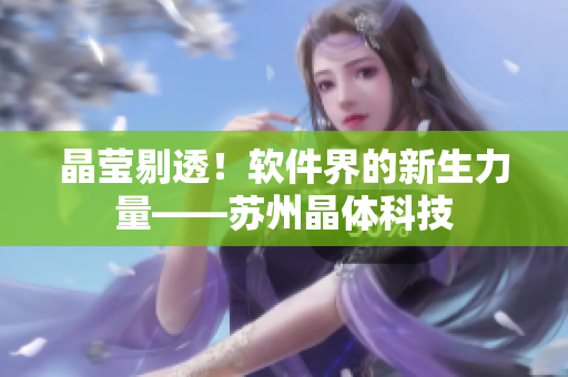 晶莹剔透！软件界的新生力量——苏州晶体科技
