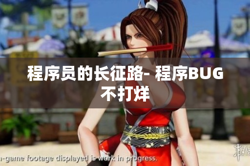 程序员的长征路- 程序BUG不打烊